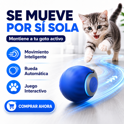 PetNova SPEED TAIL 2.0