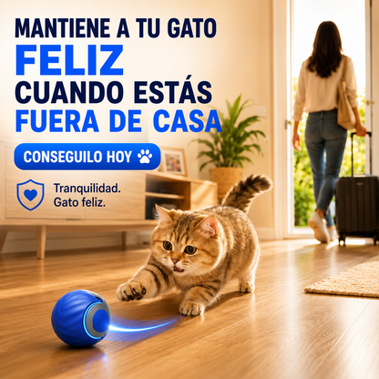 PetNova SPEED TAIL 2.0
